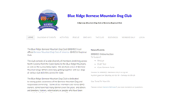 Desktop Screenshot of blueridgebmdc.org